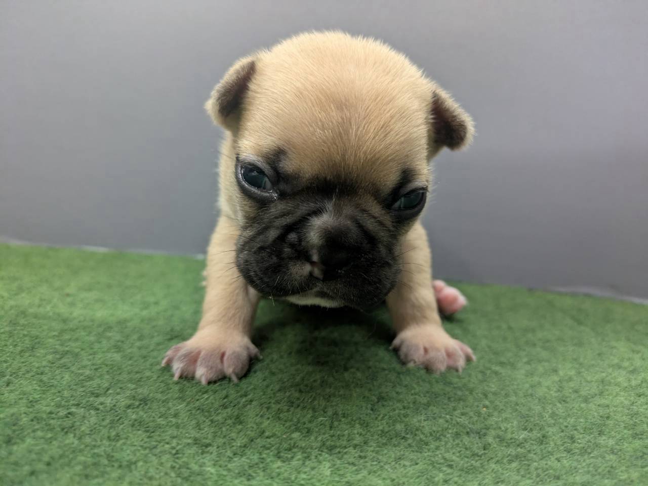 赤ちゃん写真2-1