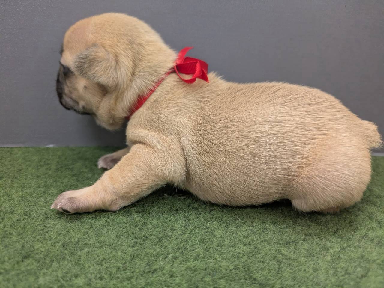 赤ちゃん写真2-2