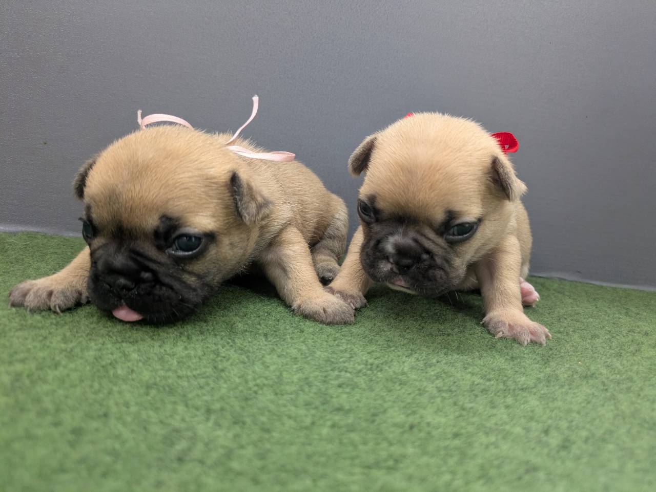 赤ちゃん写真2-3
