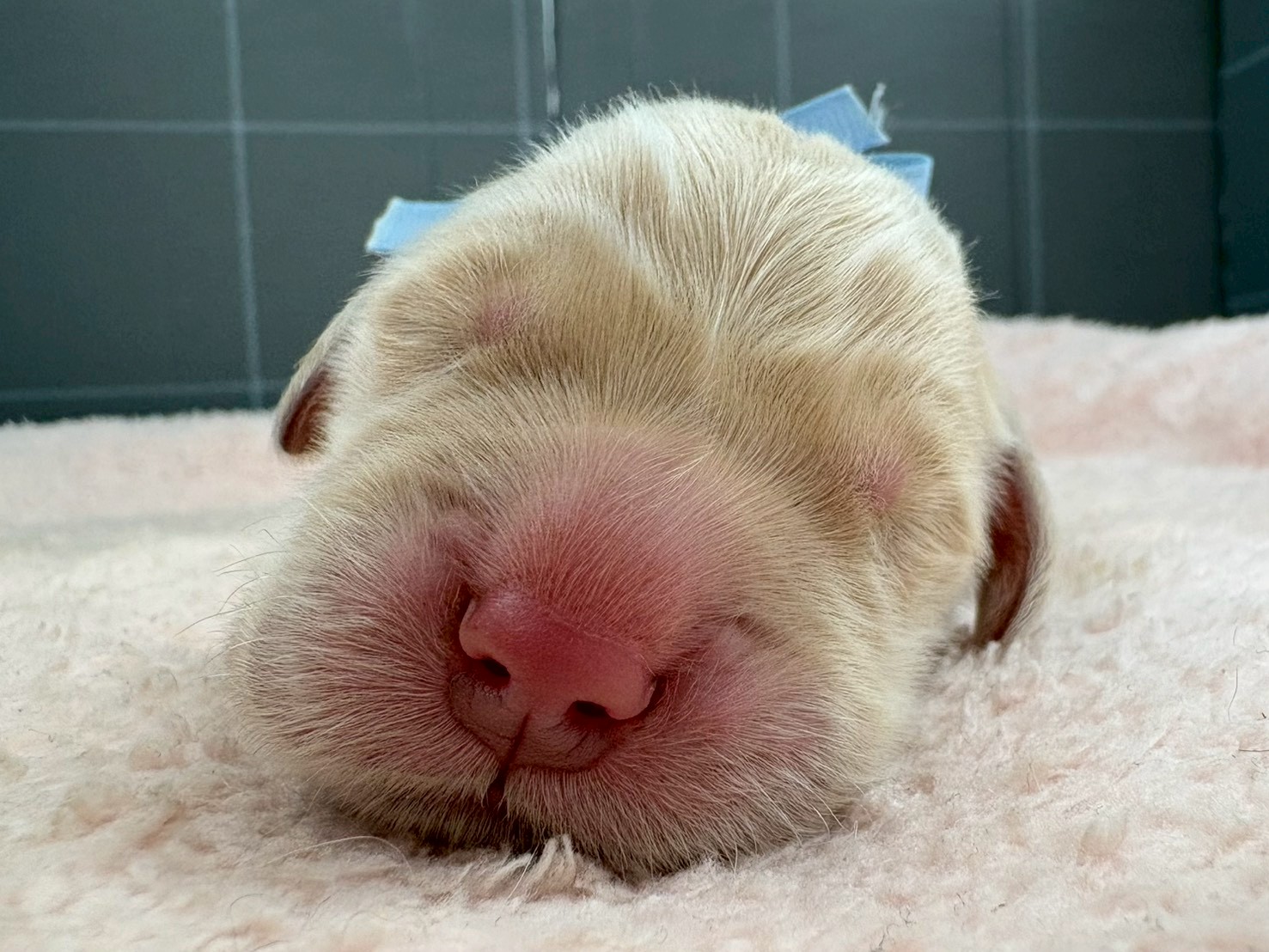 赤ちゃん写真1-1
