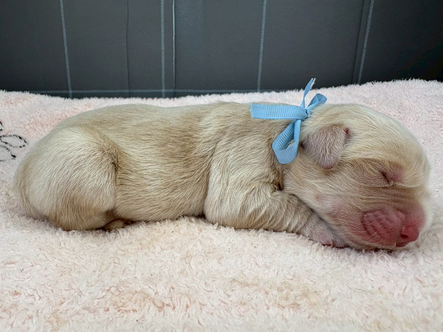赤ちゃん写真1-2