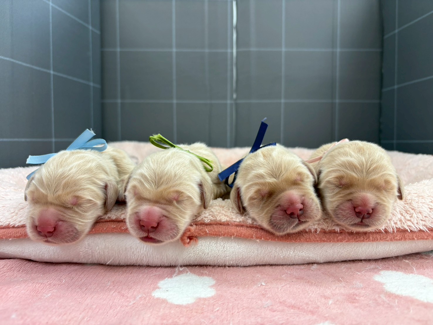 赤ちゃん写真1-3