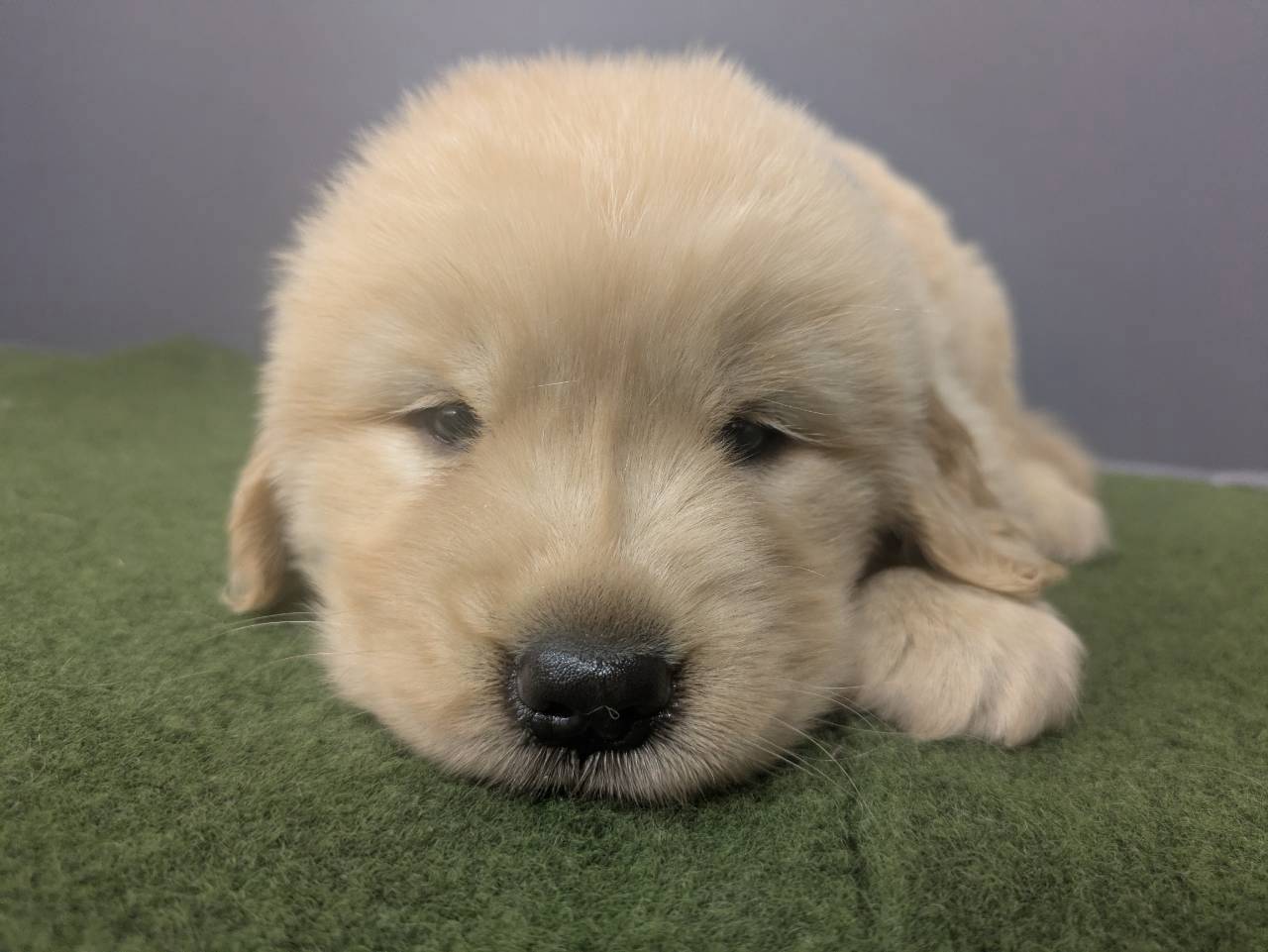 赤ちゃん写真2-1