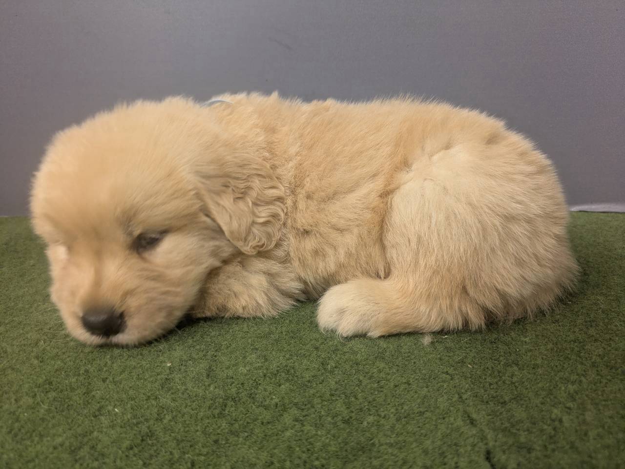 赤ちゃん写真2-2