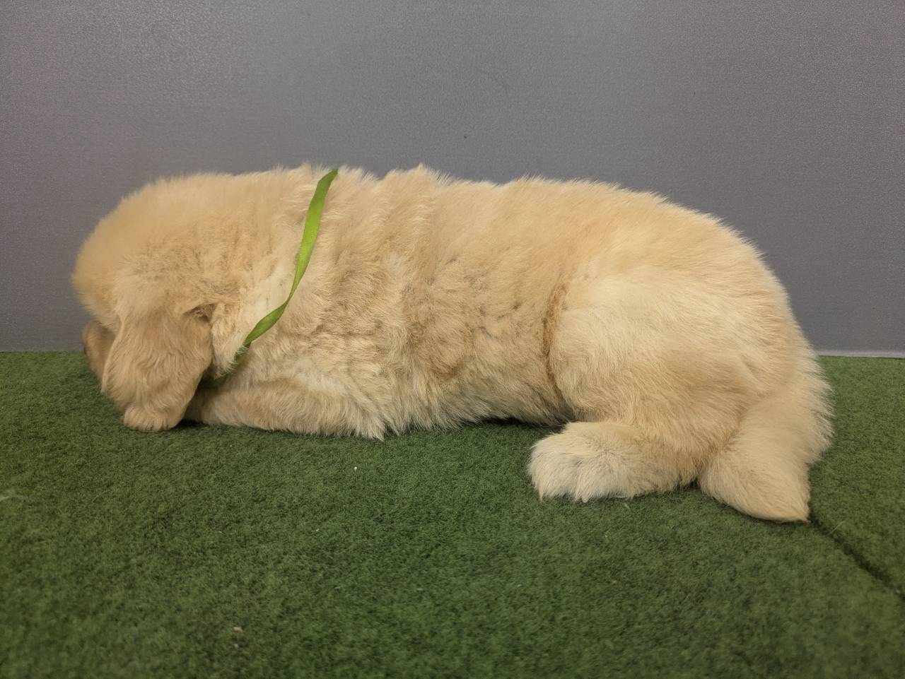 赤ちゃん写真2-2