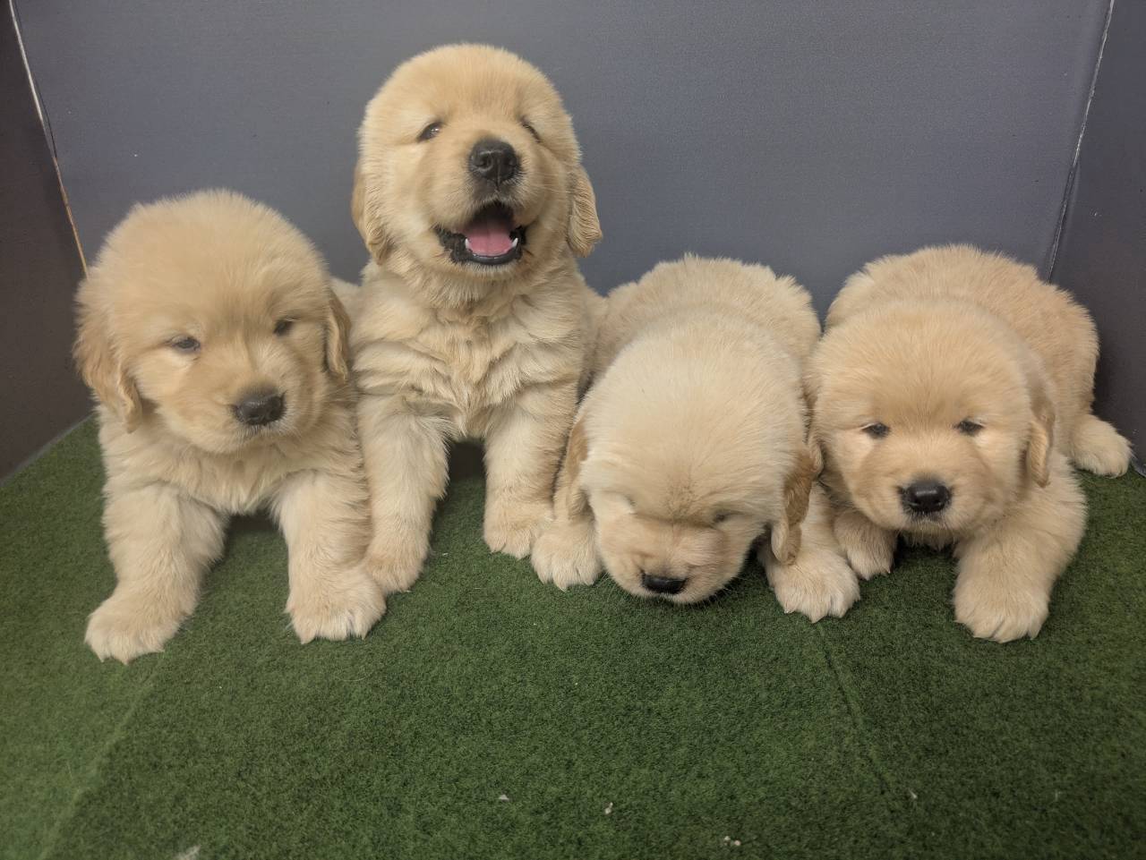 赤ちゃん写真2-3
