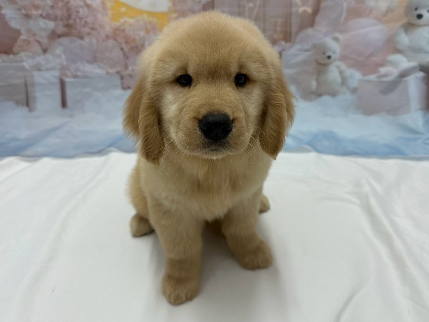 赤ちゃん写真3-1