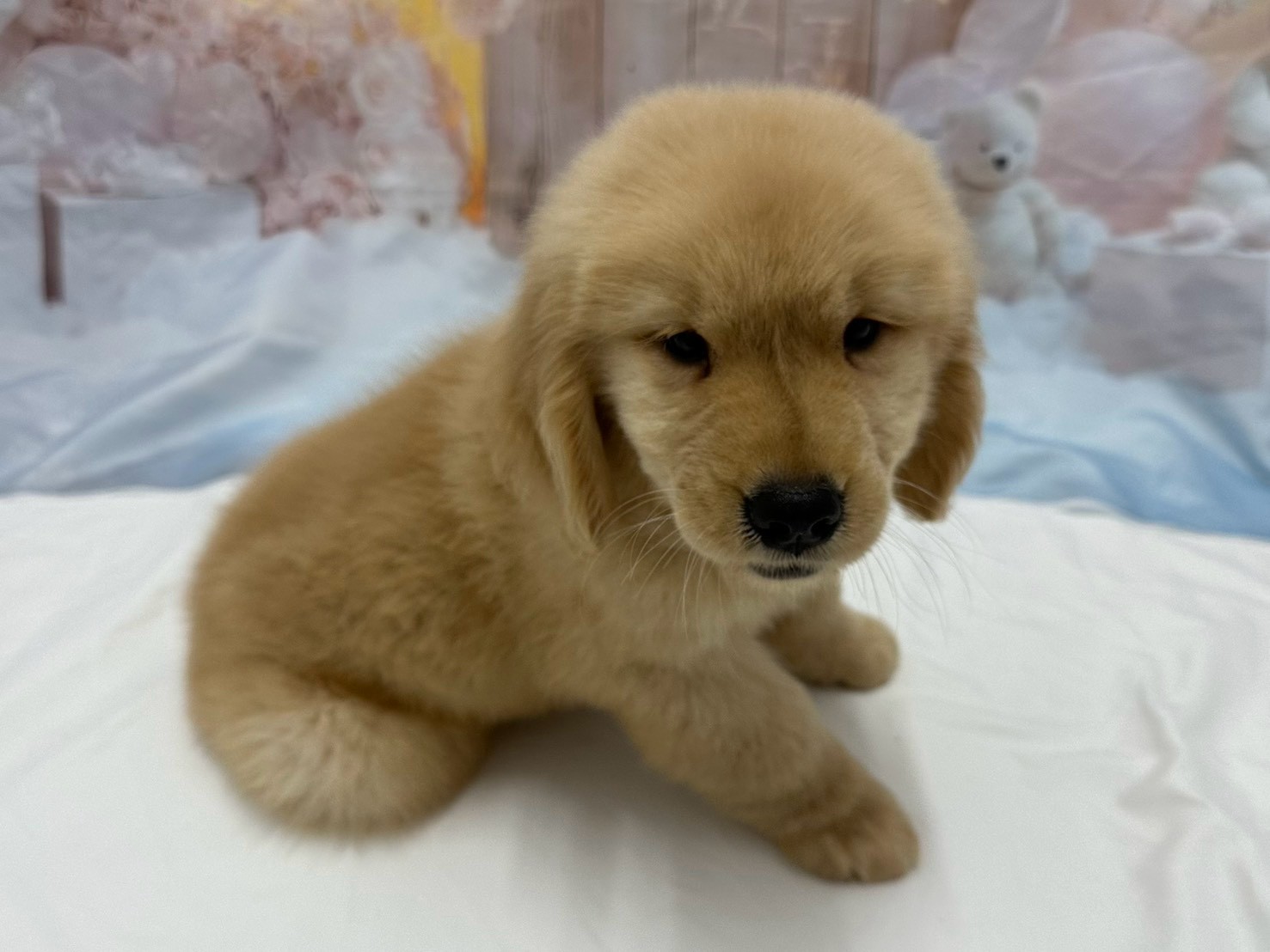 赤ちゃん写真3-2