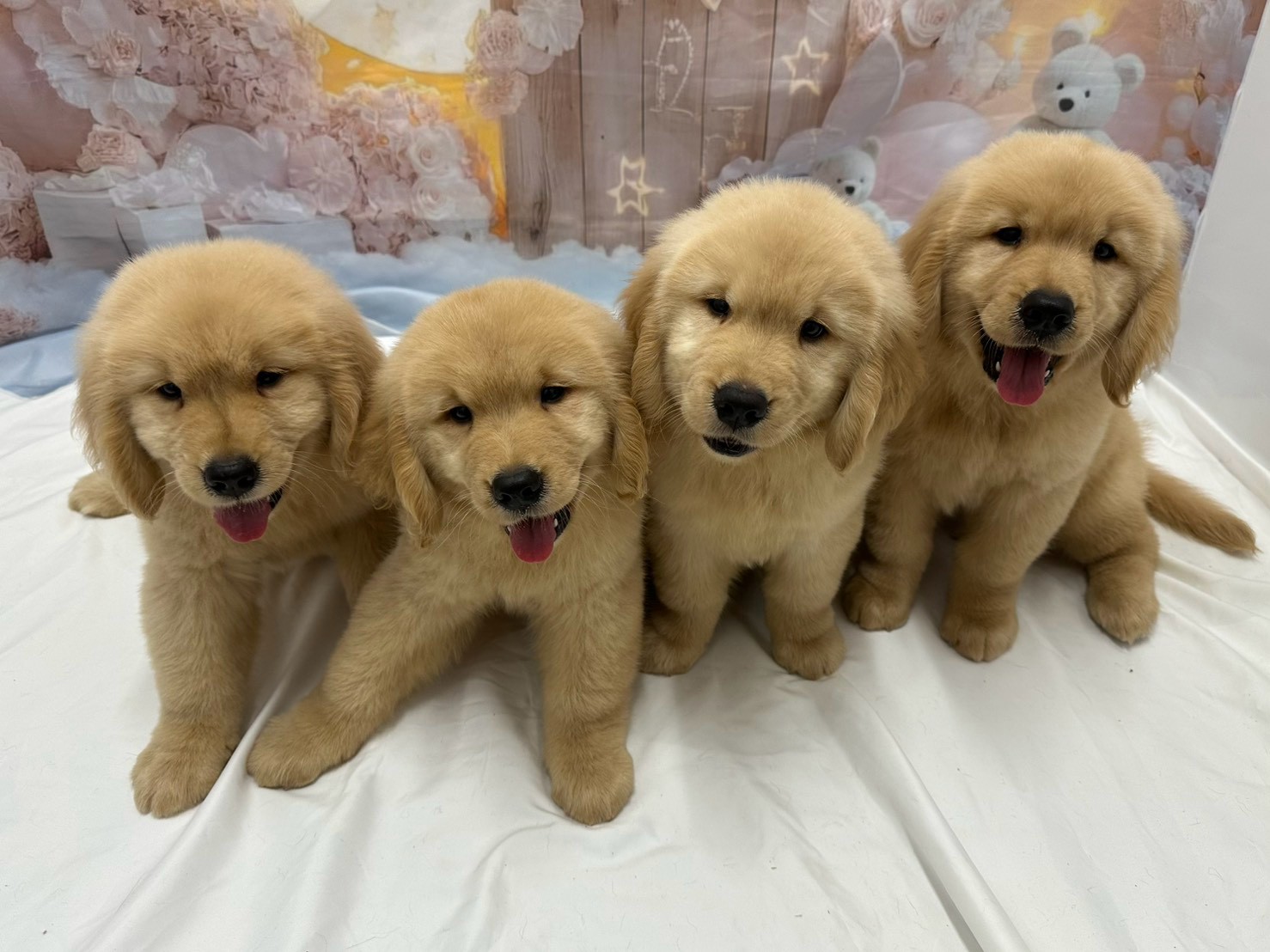 赤ちゃん写真3-3