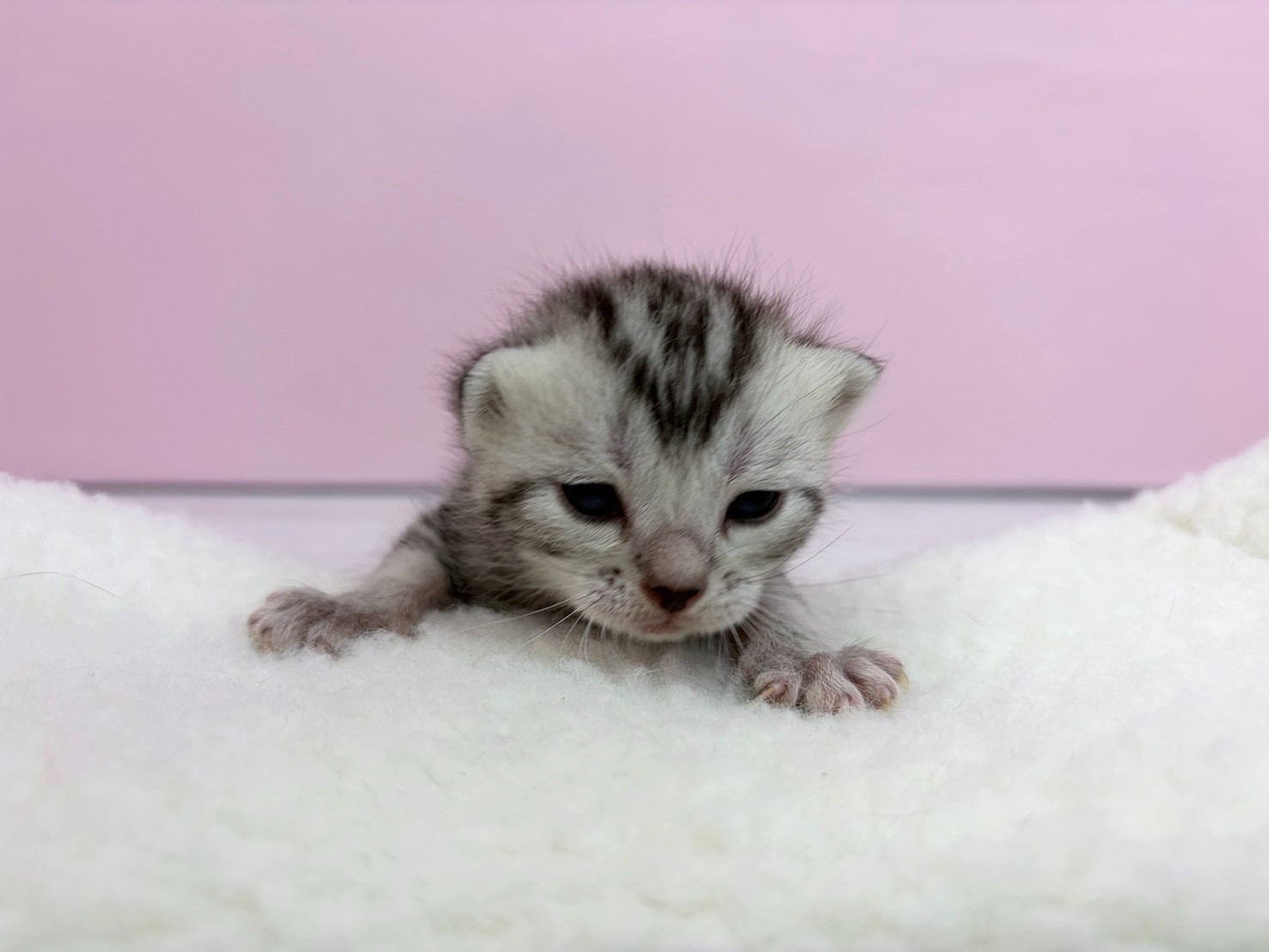 赤ちゃん写真1-1