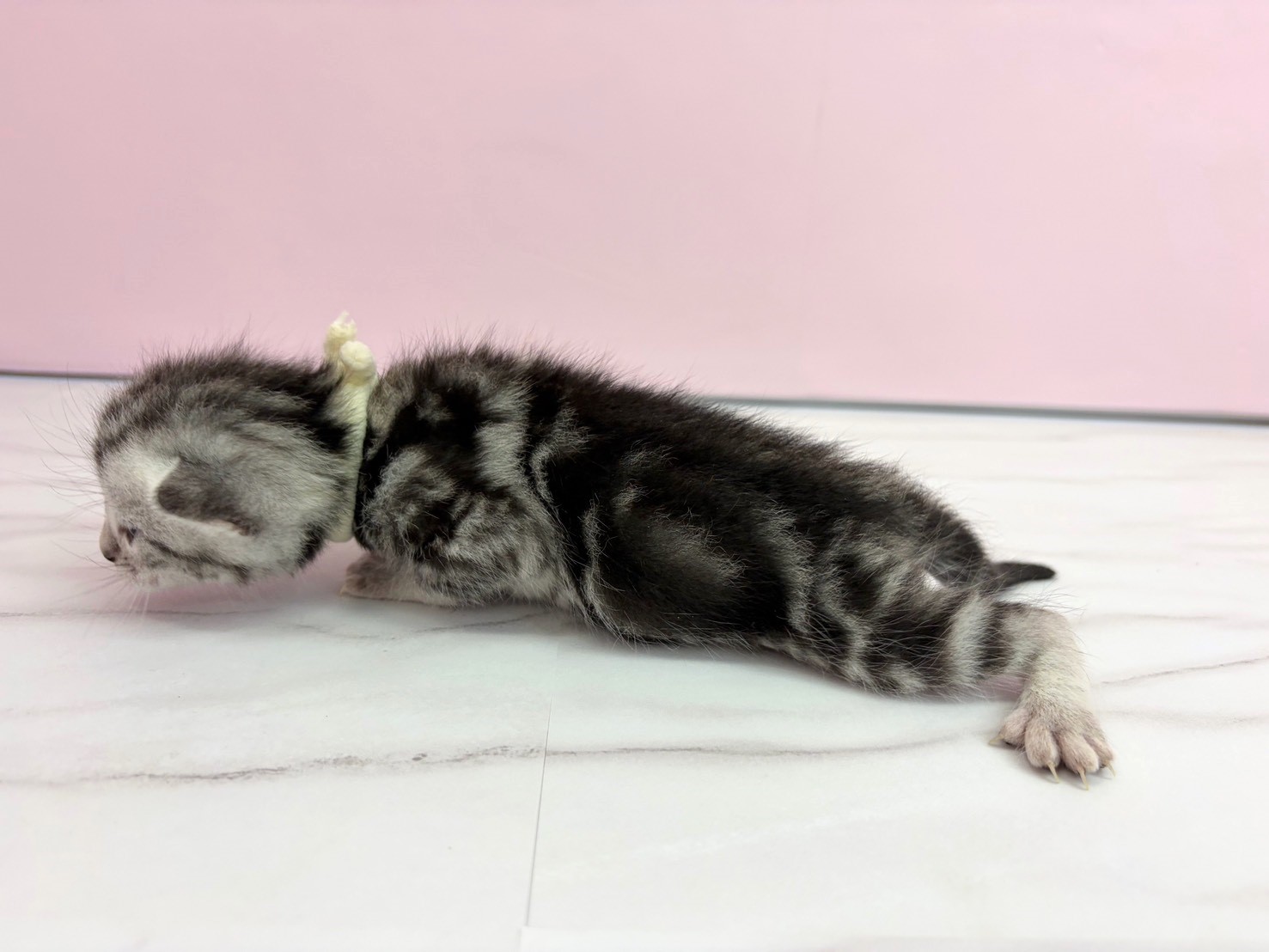 赤ちゃん写真1-2