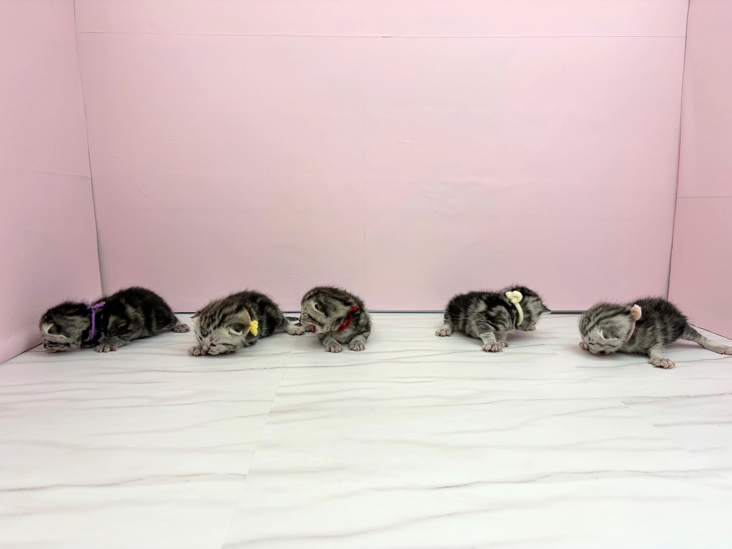 赤ちゃん写真1-3
