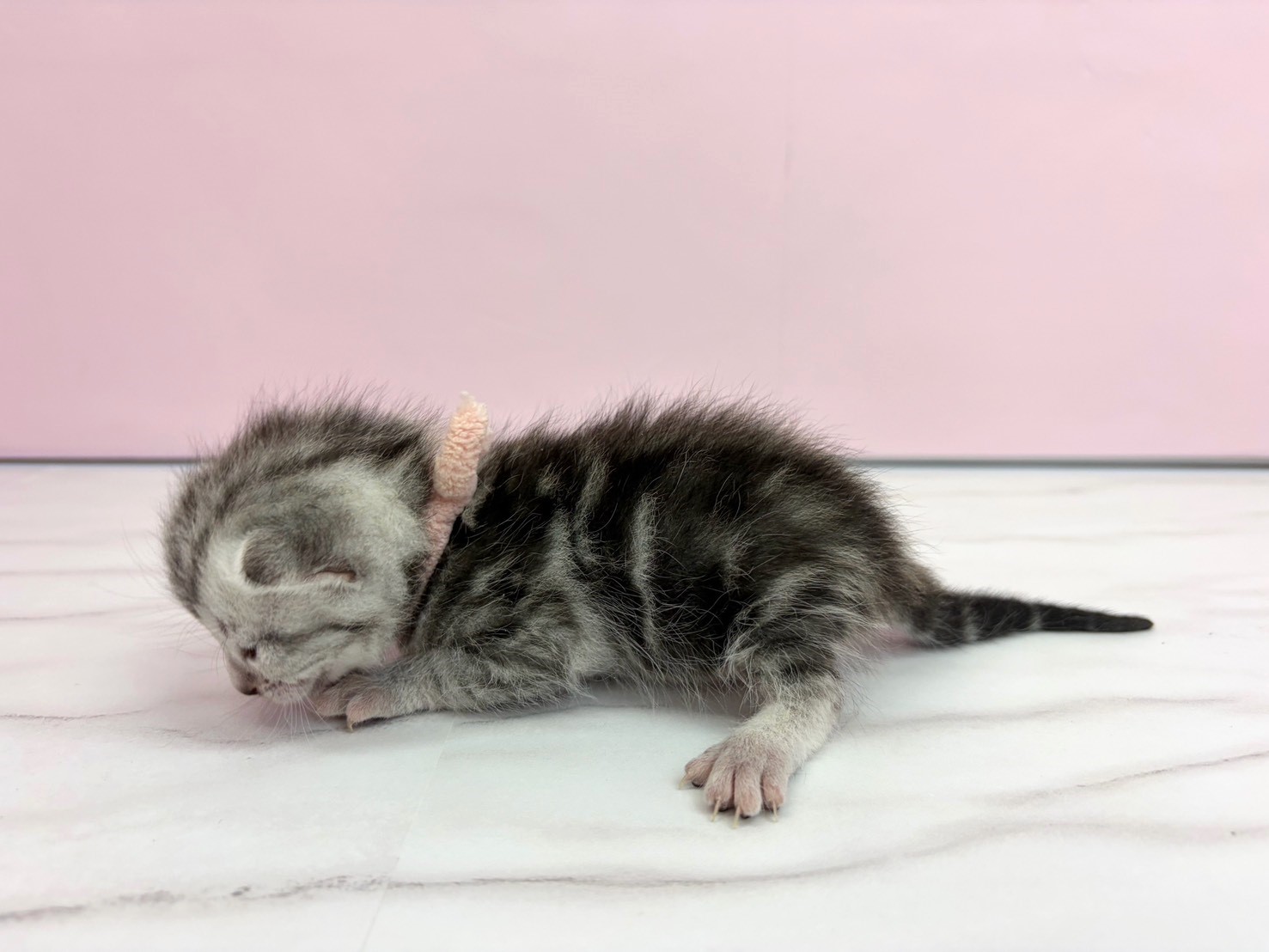 赤ちゃん写真1-2