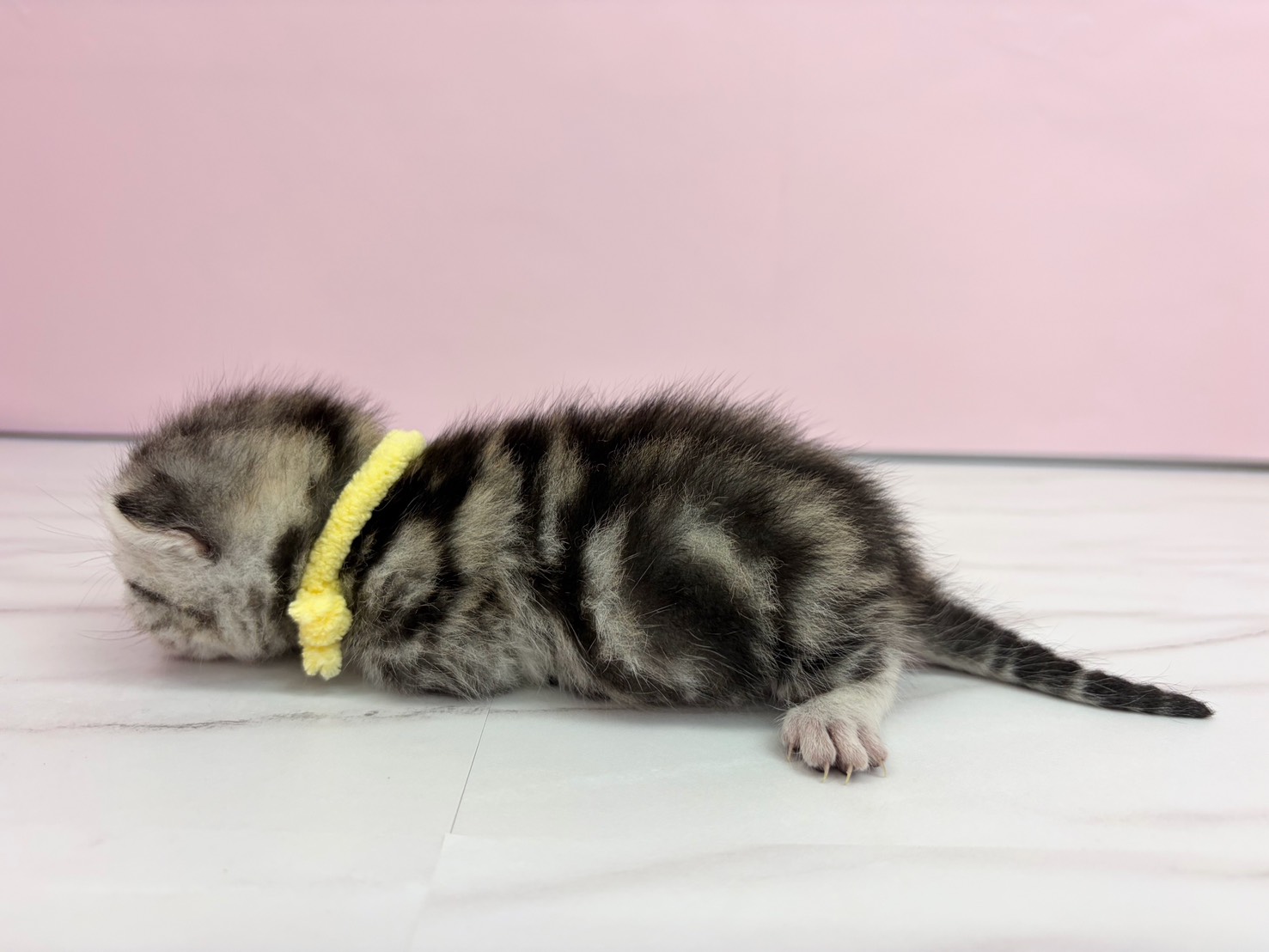 赤ちゃん写真1-2