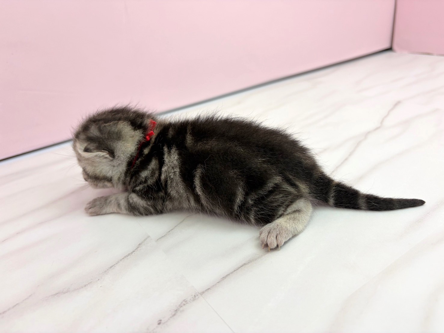 赤ちゃん写真1-2