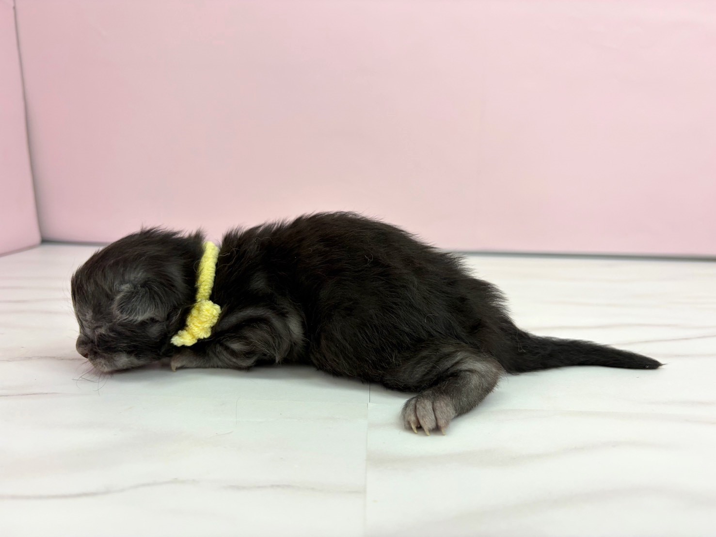 赤ちゃん写真1-2