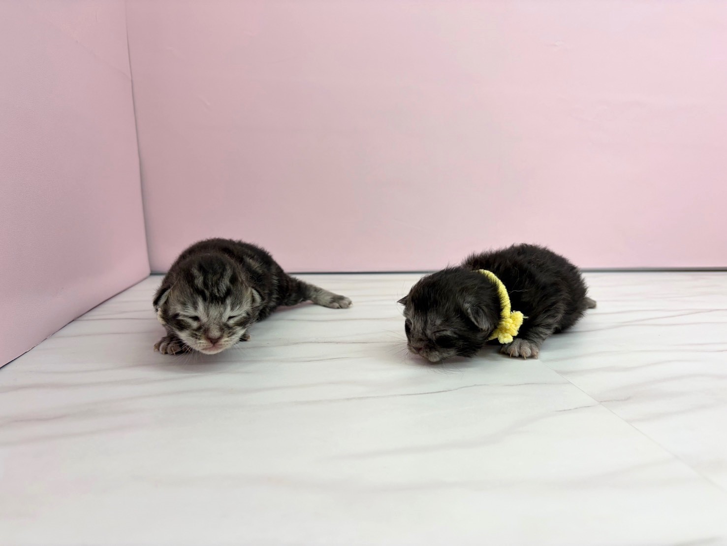 赤ちゃん写真1-3