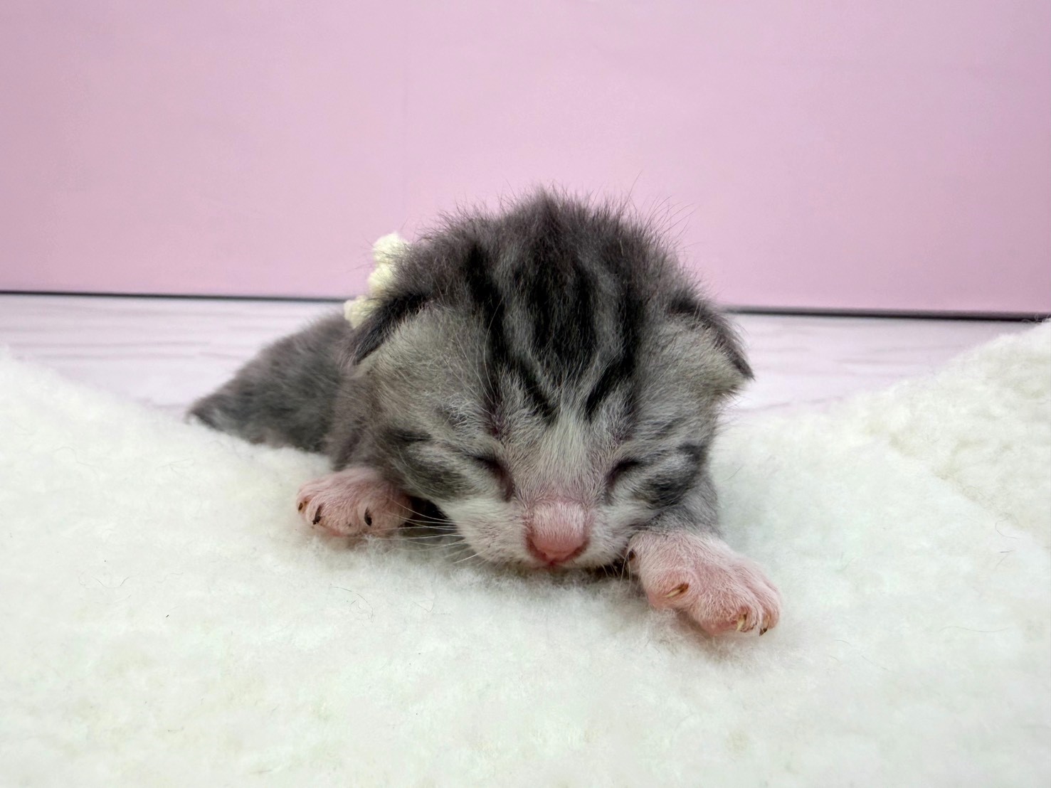 赤ちゃん写真1-1