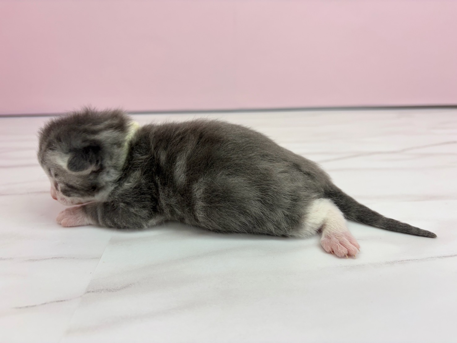 赤ちゃん写真1-2