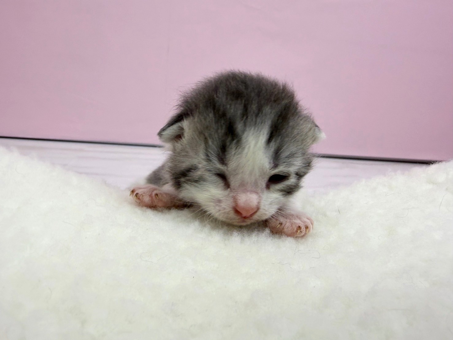 赤ちゃん写真1-1