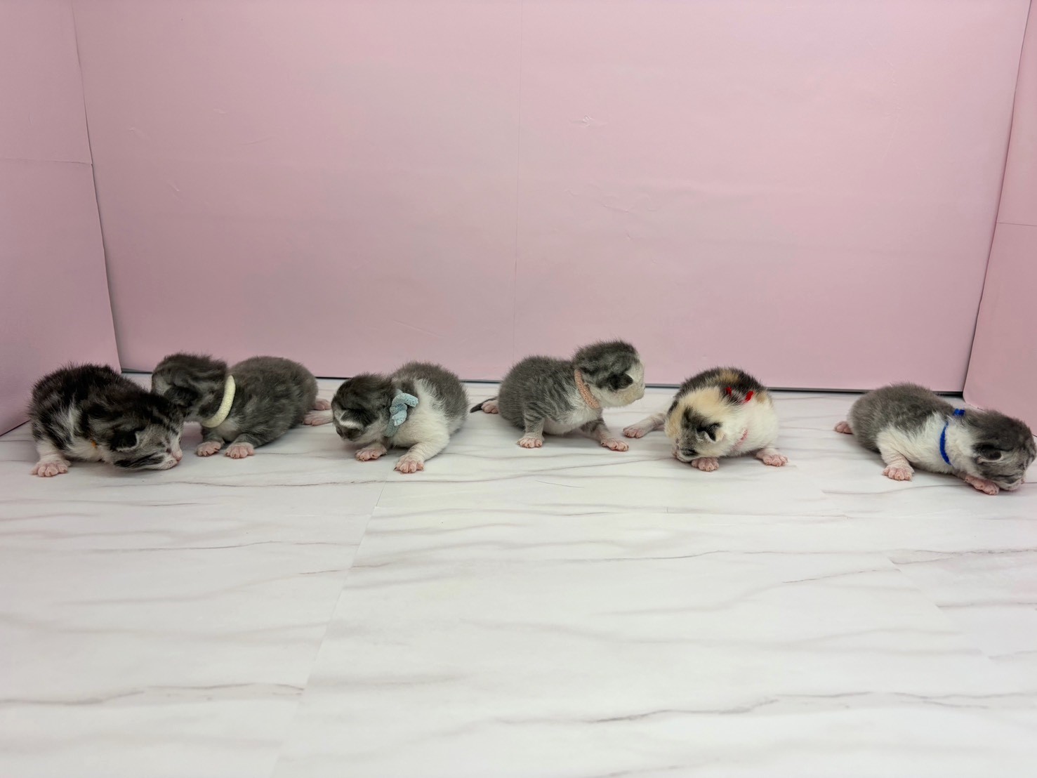 赤ちゃん写真1-3