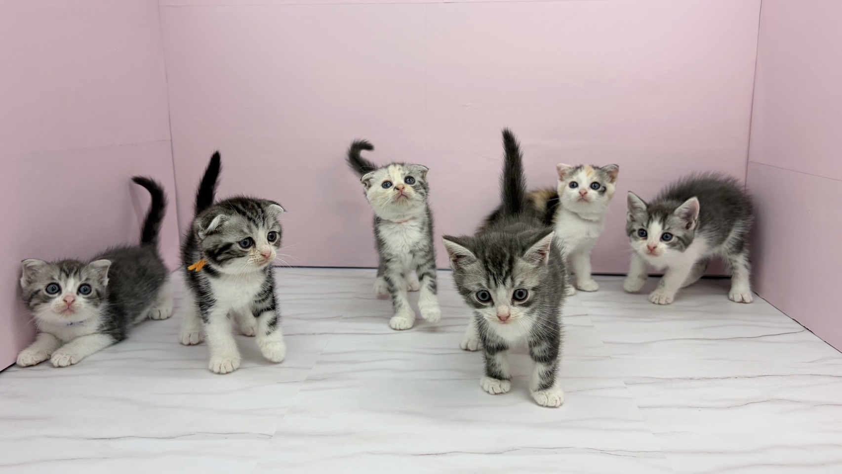 赤ちゃん写真2-3