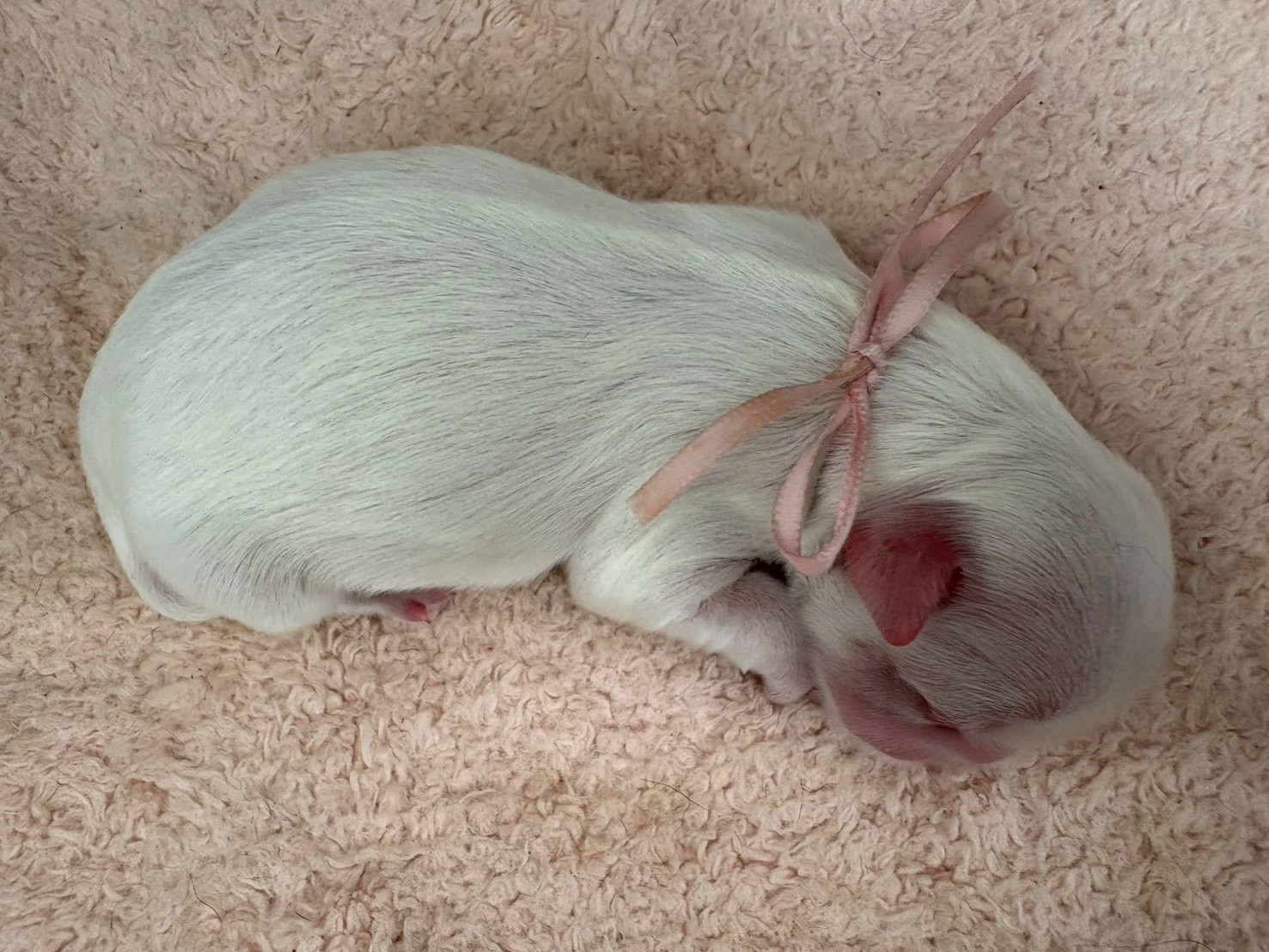 赤ちゃん写真1-3