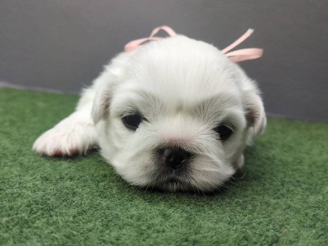 赤ちゃん写真2-1