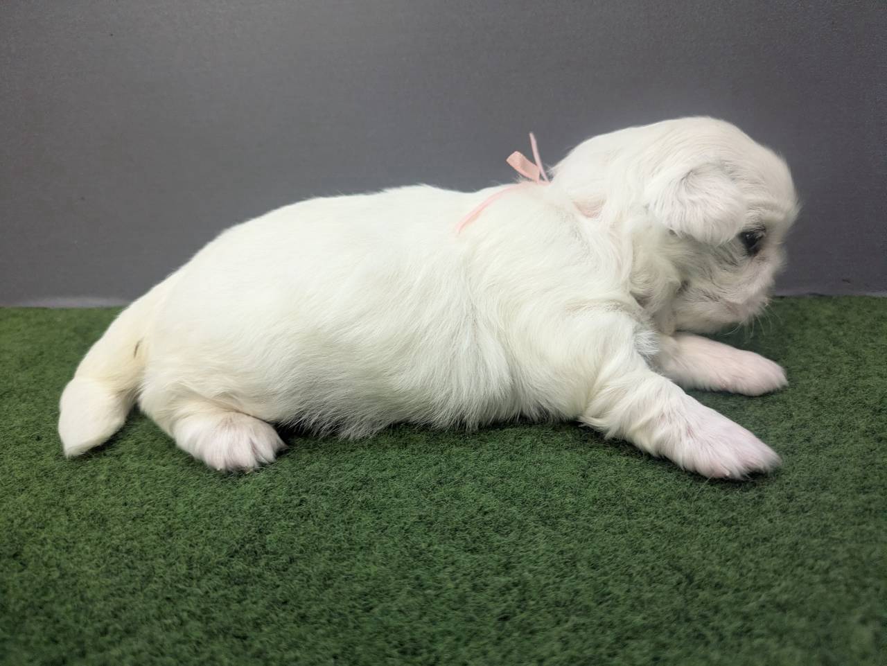 赤ちゃん写真2-2