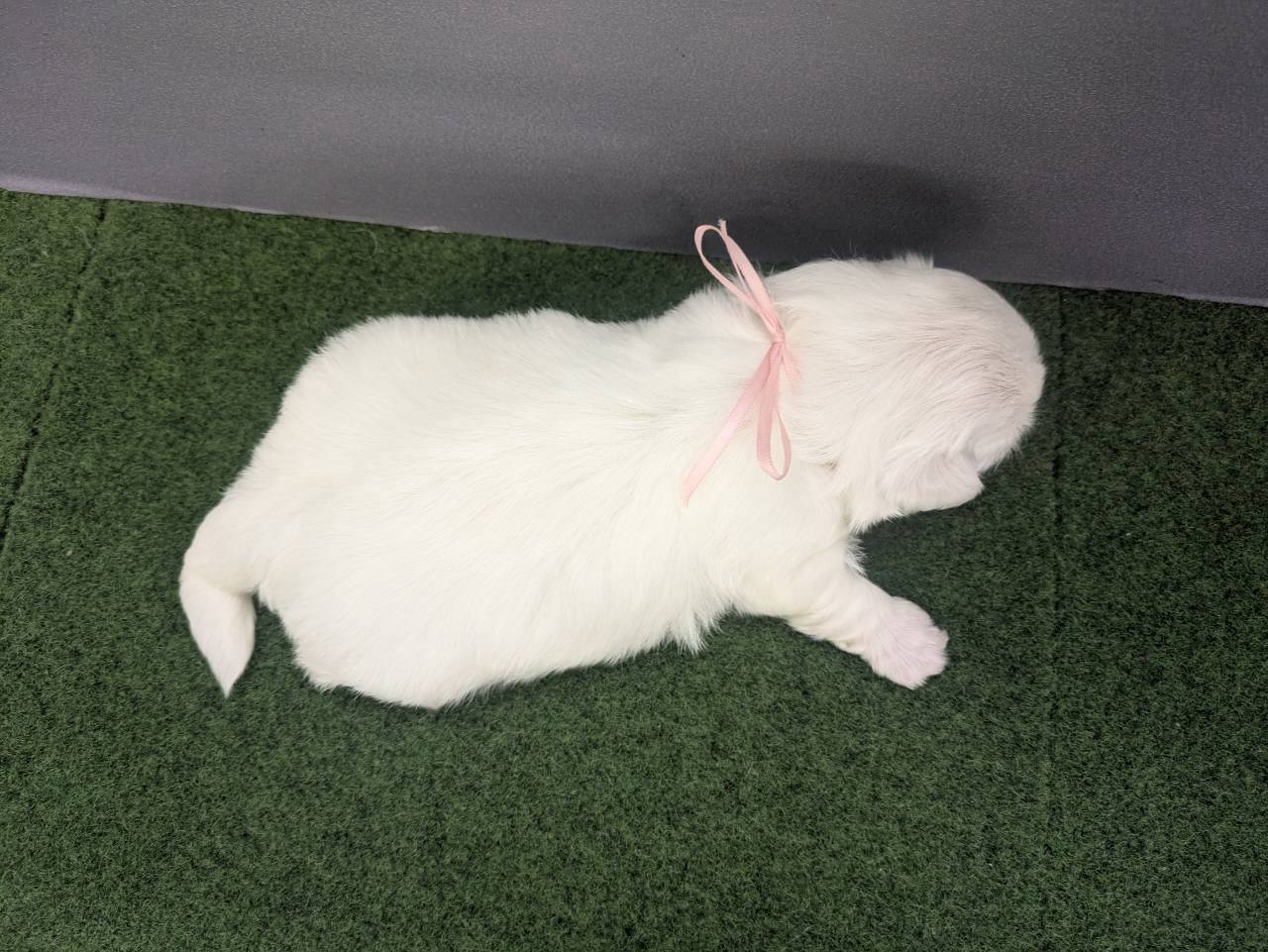 赤ちゃん写真2-3