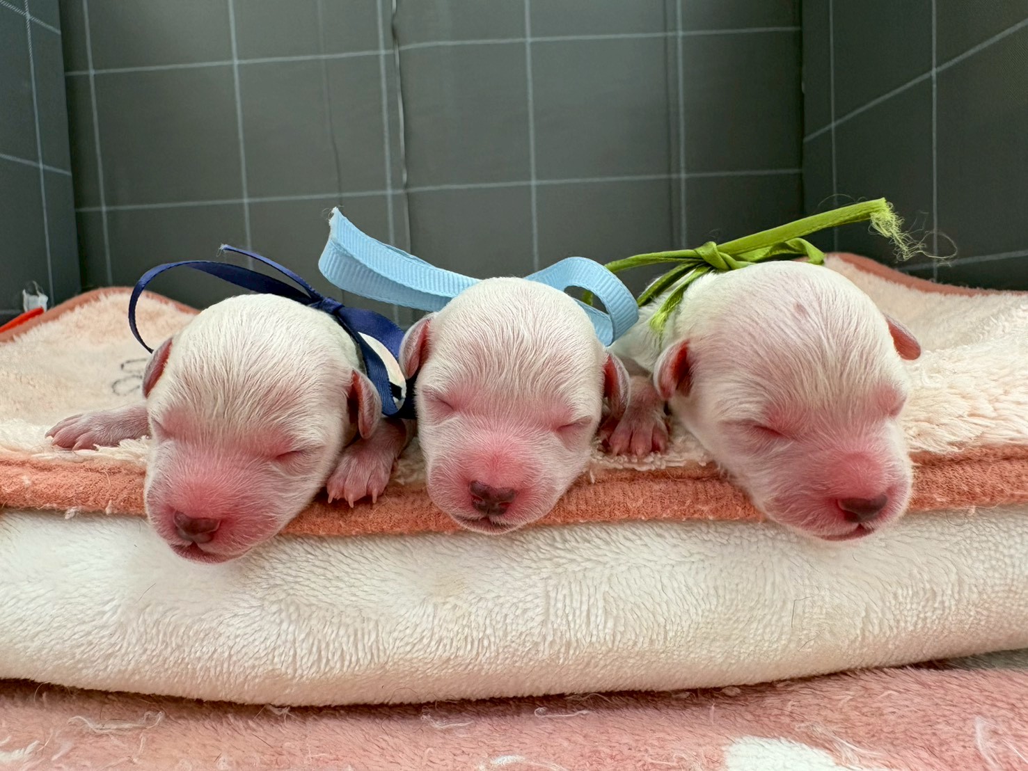 赤ちゃん写真1-3
