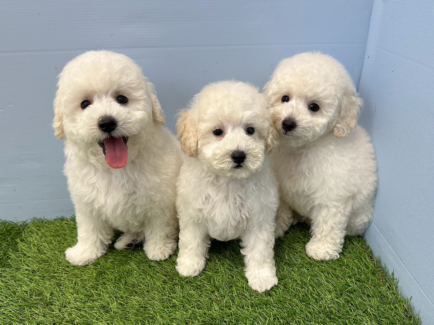 赤ちゃん写真3-3