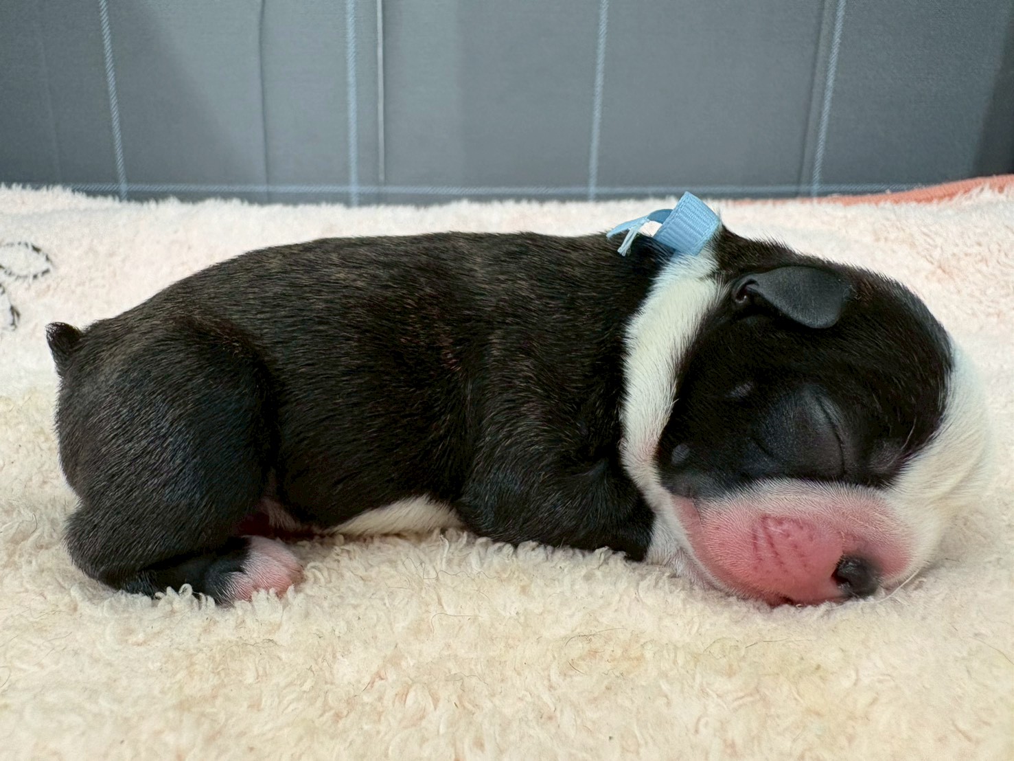 赤ちゃん写真1-2