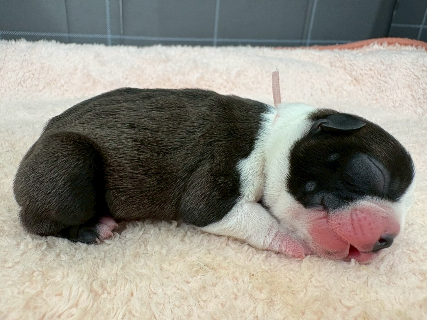 赤ちゃん写真1-2