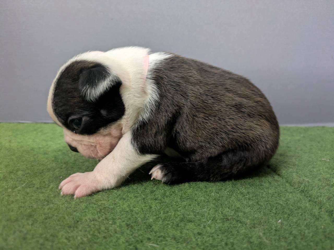 赤ちゃん写真2-2