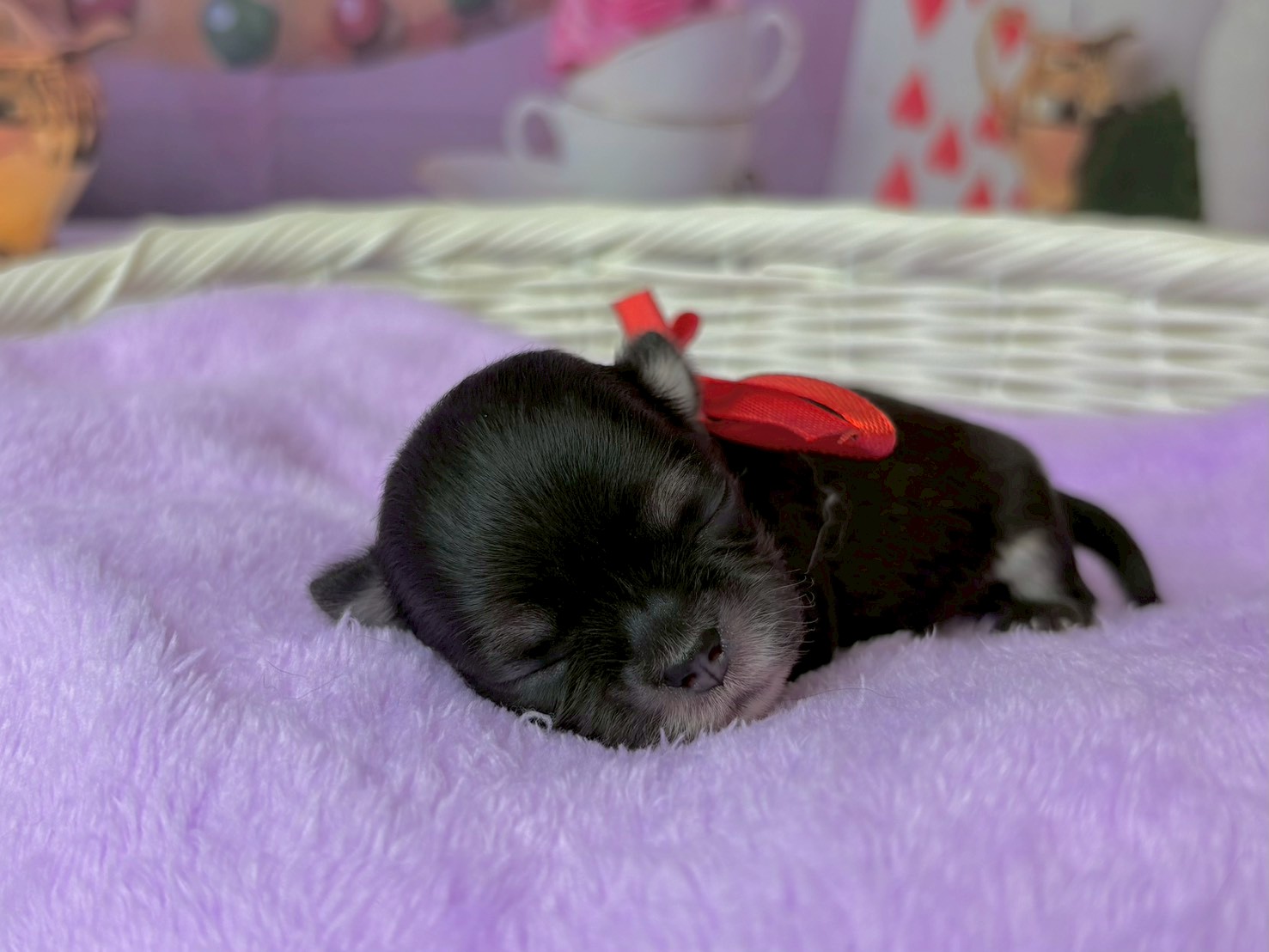 赤ちゃん写真1-1