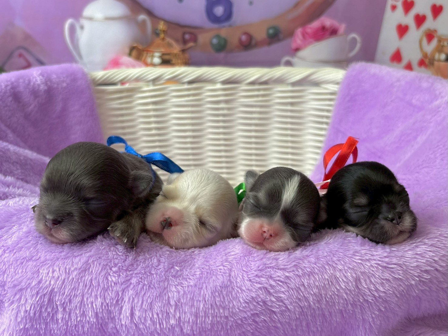 赤ちゃん写真1-3