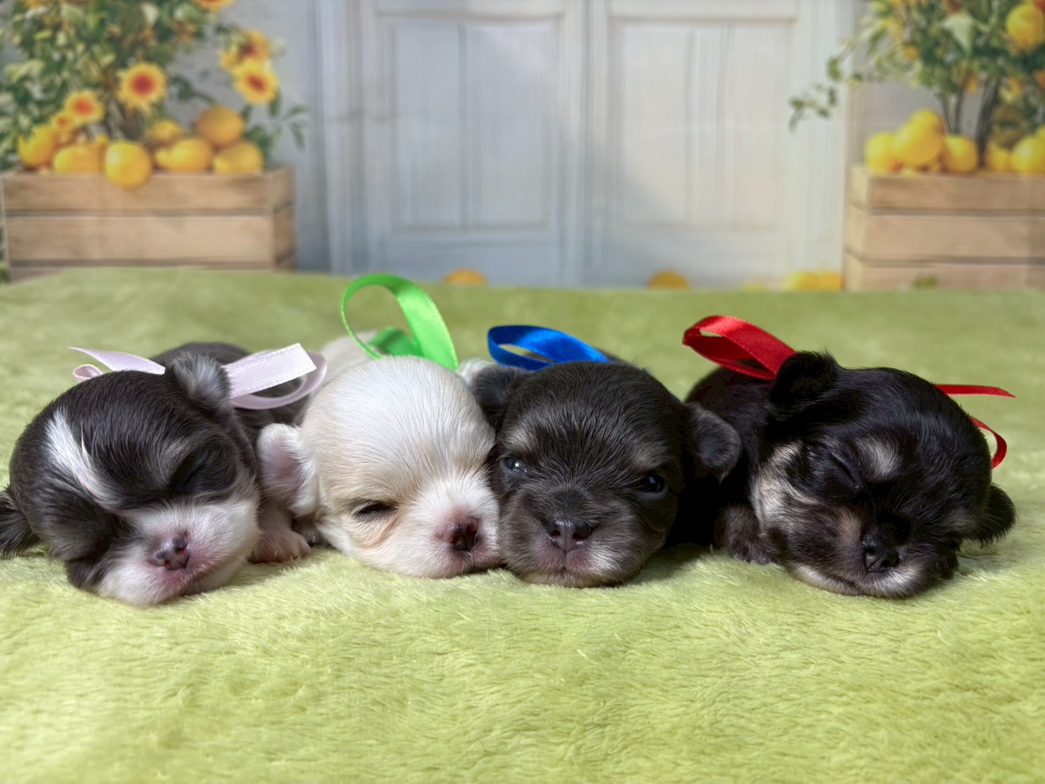 赤ちゃん写真2-3