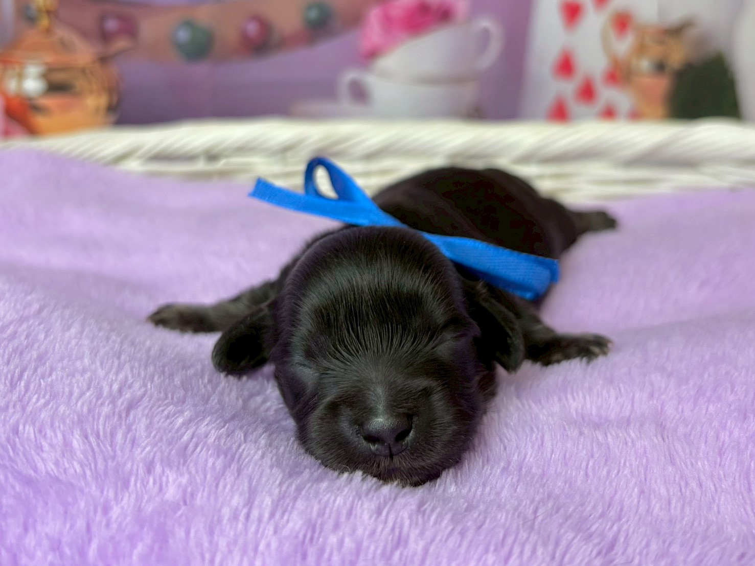 赤ちゃん写真1-1