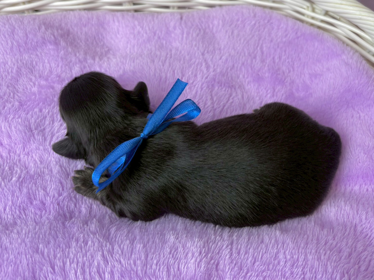 赤ちゃん写真1-3