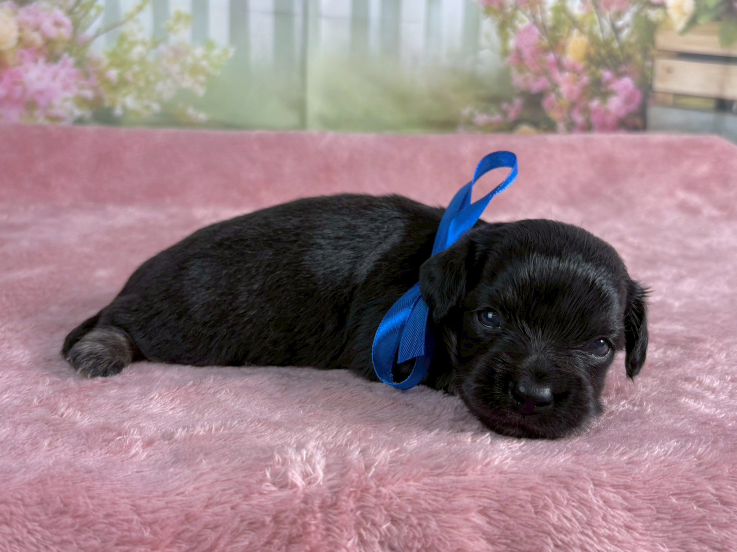 赤ちゃん写真2-2
