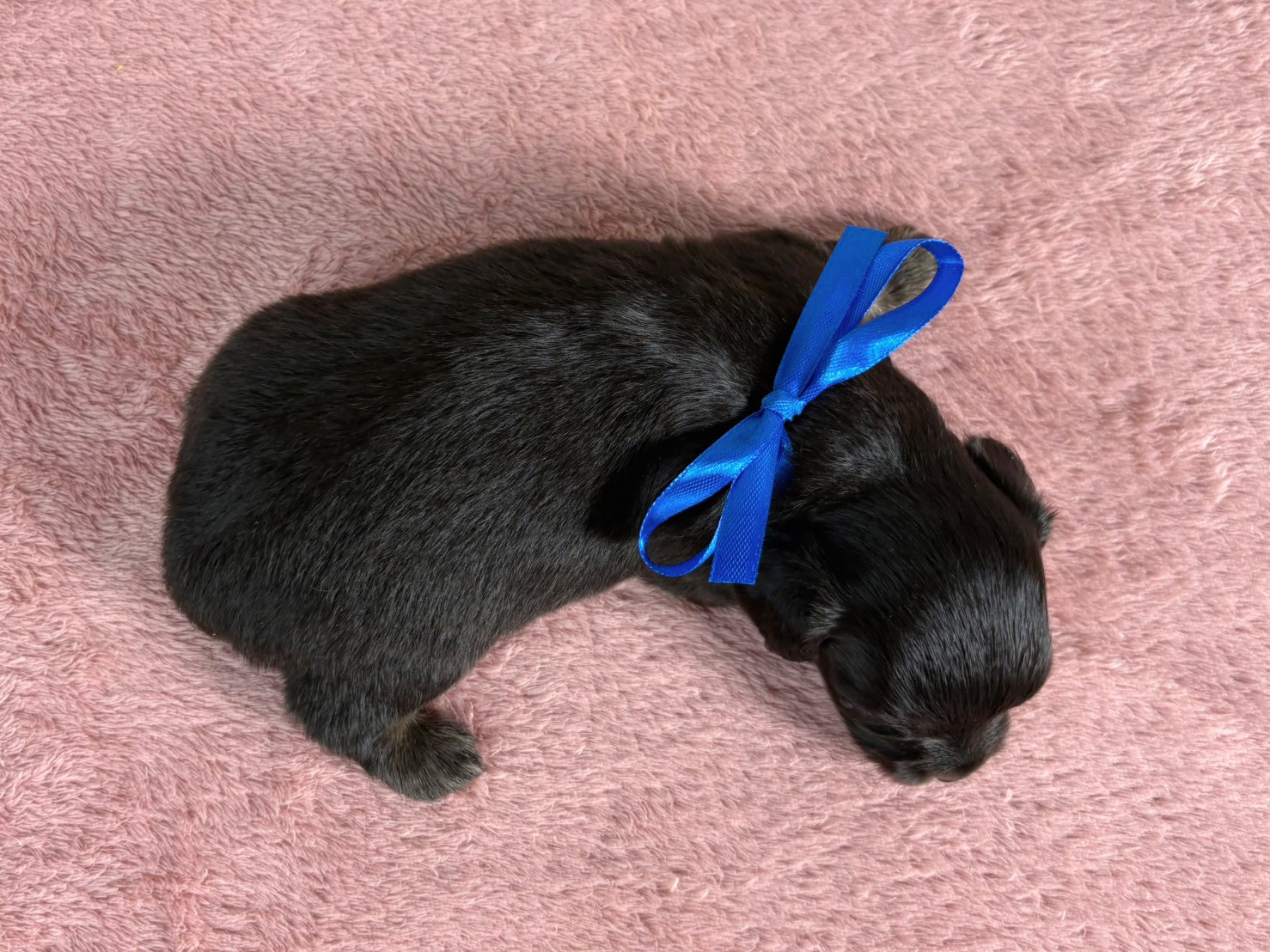赤ちゃん写真2-3