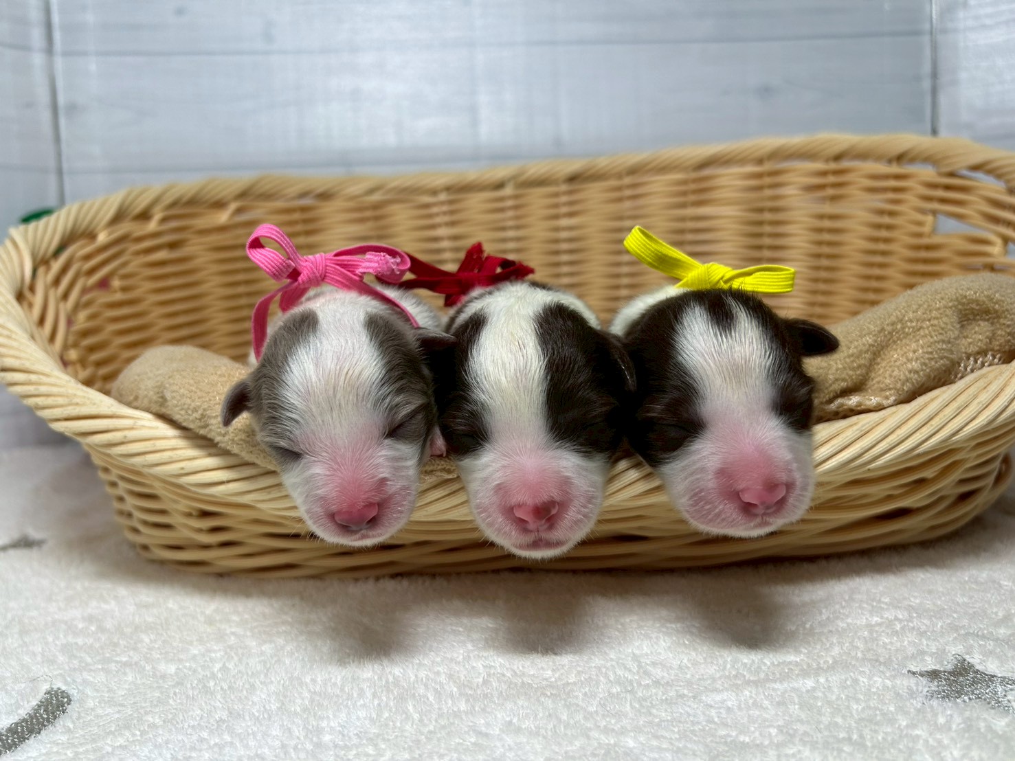 赤ちゃん写真1-3