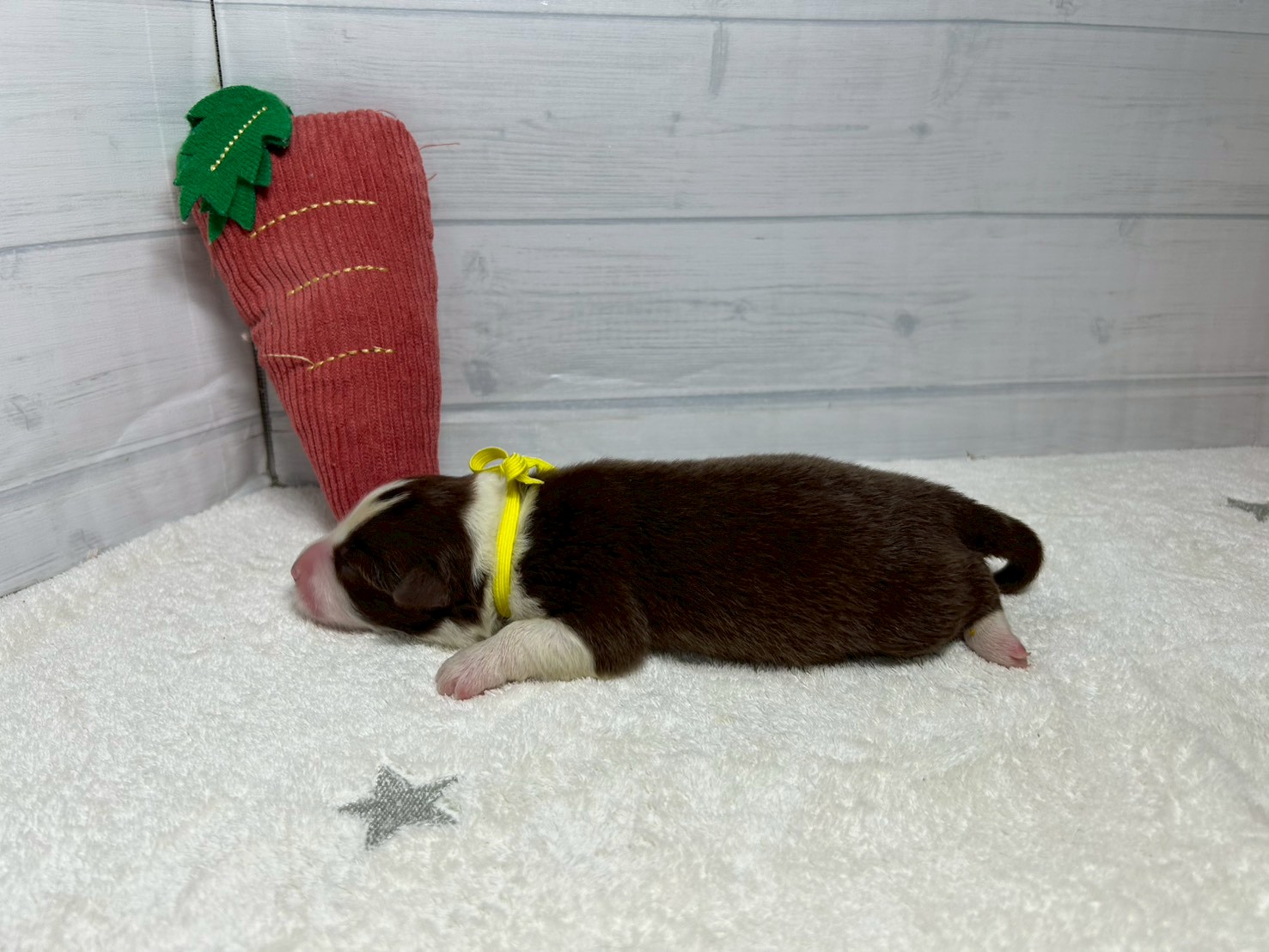 赤ちゃん写真1-2