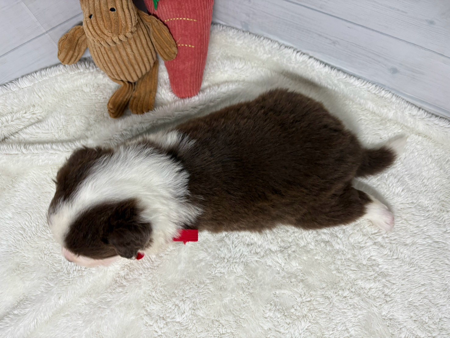 赤ちゃん写真2-3