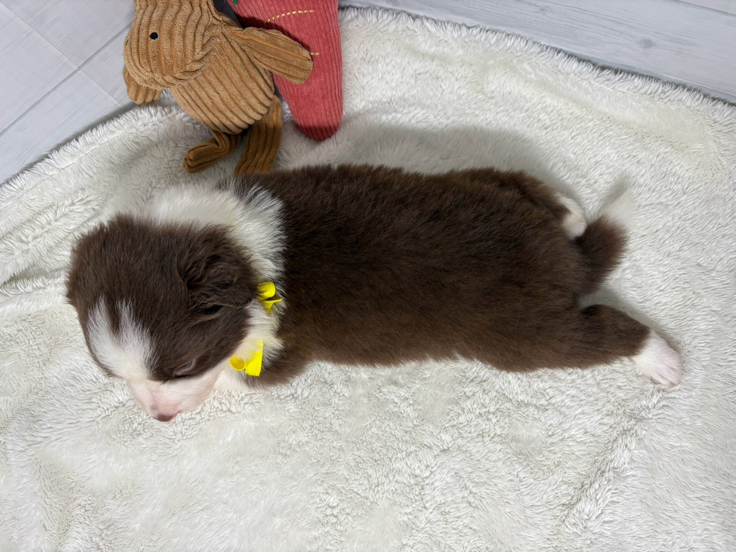 赤ちゃん写真2-3