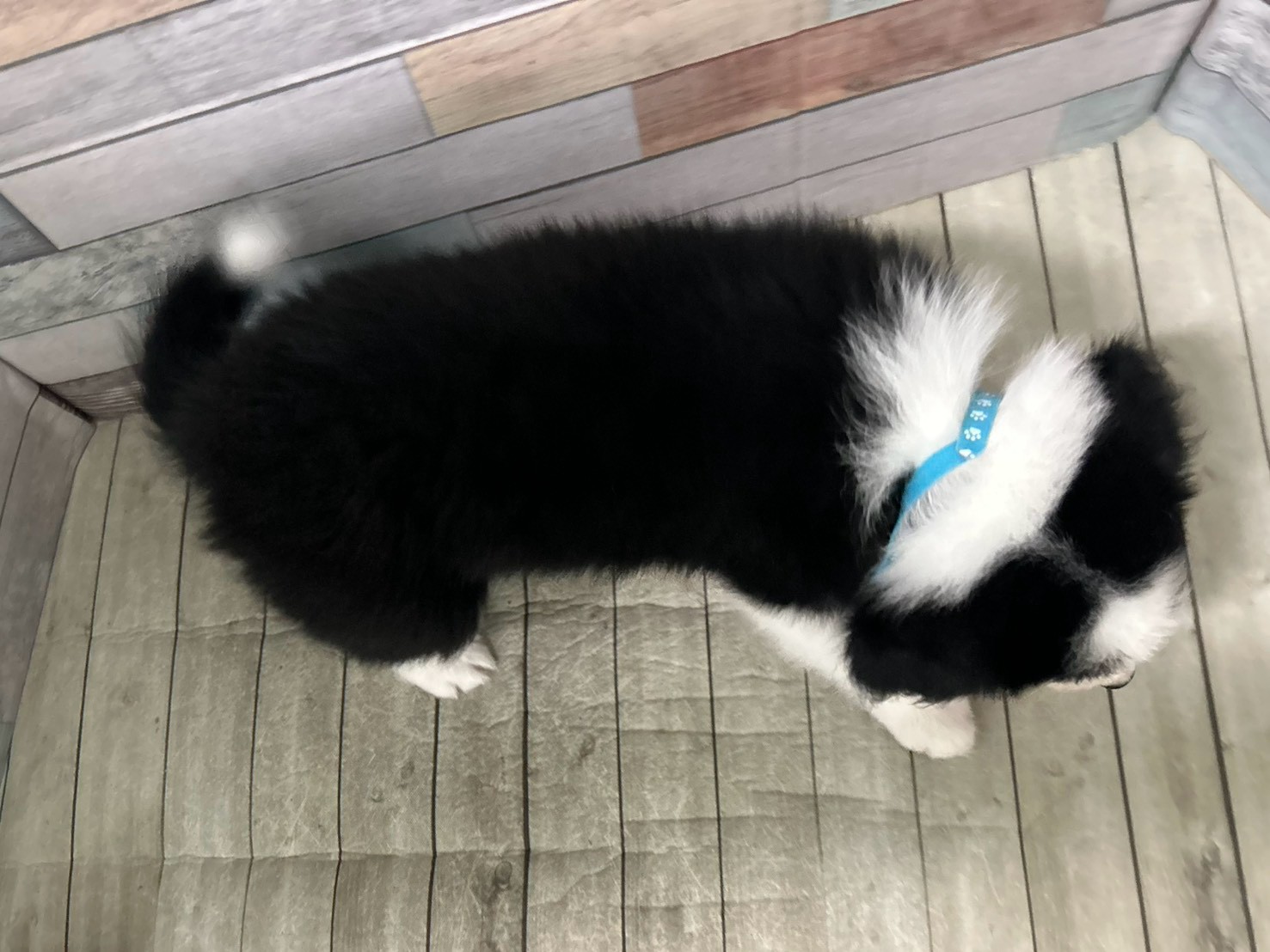 赤ちゃん写真3-3