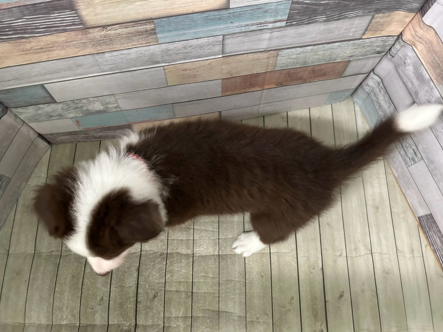 赤ちゃん写真3-3