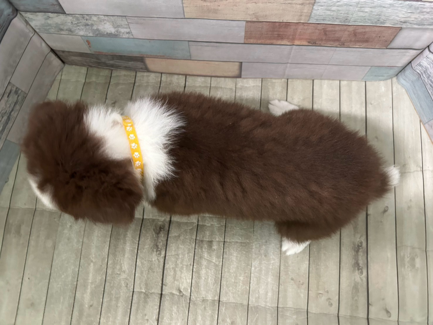 赤ちゃん写真3-3
