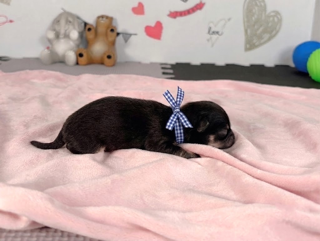 赤ちゃん写真1-2